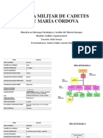 Analisis Organizaciones