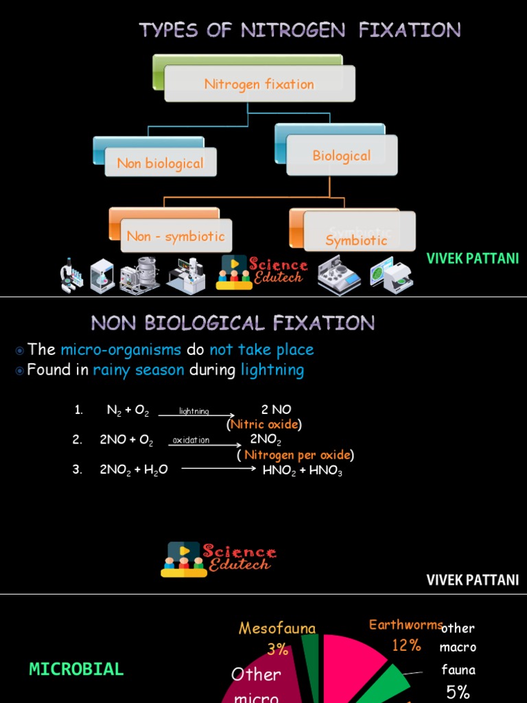 Nitrogen Fixation | PDF | Microorganism | Cell (Biology)