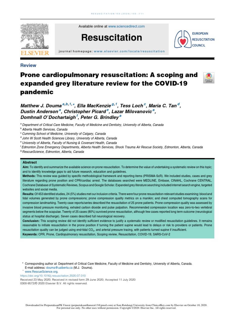 Literature review italiano picture