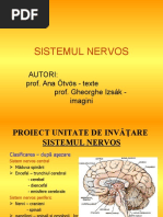 sistemul nervos