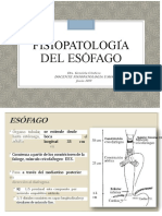 Fisipatologia Del Esofago