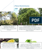 Catalogo Flora y Fauna Dominicana