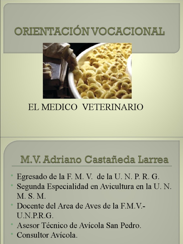 Medicina Veterinaria: Formación y Demandas | PDF | Medicina Veterinaria ...