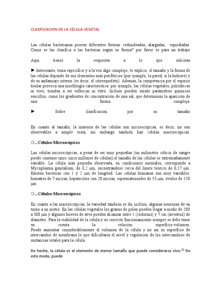 Células Procariotas: Clasificación y Tipos | PDF | Biología Celular ...