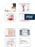 Aula 1 - Fisiopatologia e Farmacoterapia Do Sistema Digestório - Parte 1