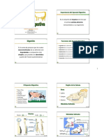 21 - Anatomia Digestiva