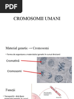Lp 5 CROMOSOMII UMANI_final_2020