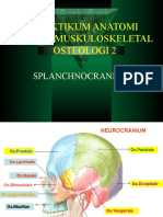 Osteo 2splanchnocranium
