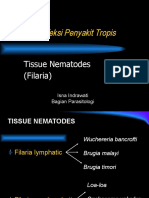 Blok Infeksi Penyakit Tropis: Tissue Nematodes (Filaria)