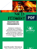 NR 23 - Brigada de Incêndio - Florestal