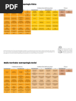 Descargar Malla Curricular Antropologia Mencion en Arqueologia Tamano Completo
