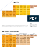 Descargar Malla Curricular Antropologia Mencion en Arqueologia Tamano Completo