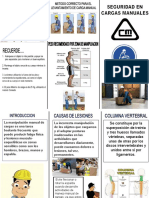 09 Manejo Seguro de Cargas para PDF