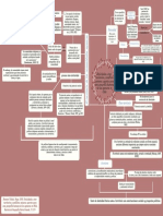 Mapa Conceptual Etnicidad