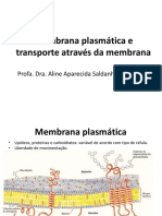 Aula3Membranaplasmticaetransportes 02.03