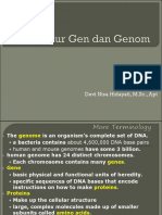 Struktur Gen, Genom, Polimorfisme