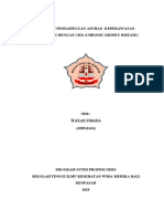 Revisi Laporan Pendahuluan CKD Wayan Usiana (209012434)