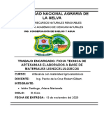 Informe Tecnico de Artesanias Con Materiales Lignocelulosicos