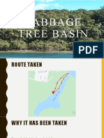 Cabbage Tree Basin Autosaved
