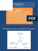 Glicólisis, Mecanismo de Regulación