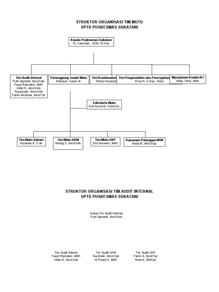 Struktur Tim Mutu Puskesmas Sukatani | PDF | Kesehatan Holistik