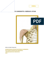 Anatomi Anggota Gerak Atas