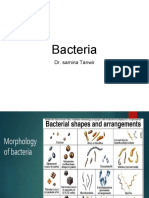 Bacteria: Dr. Samina Tanwir