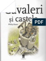 Cavaleri Si Castele - Insiders