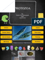 Tugas Mikrobiologi 3 (PPT Protozoa)