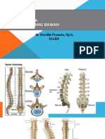 Tata Laksana Nyeri Pinggang Bawah: Dr. Hardhi Pranata, SP.S, Mars