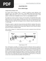 Chapter Five Server Side Scripts: Common Gateway Interface (CGI)