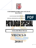 G.P.PATOLOGÍA  ESPECIAL 2018-I - Copia (1)