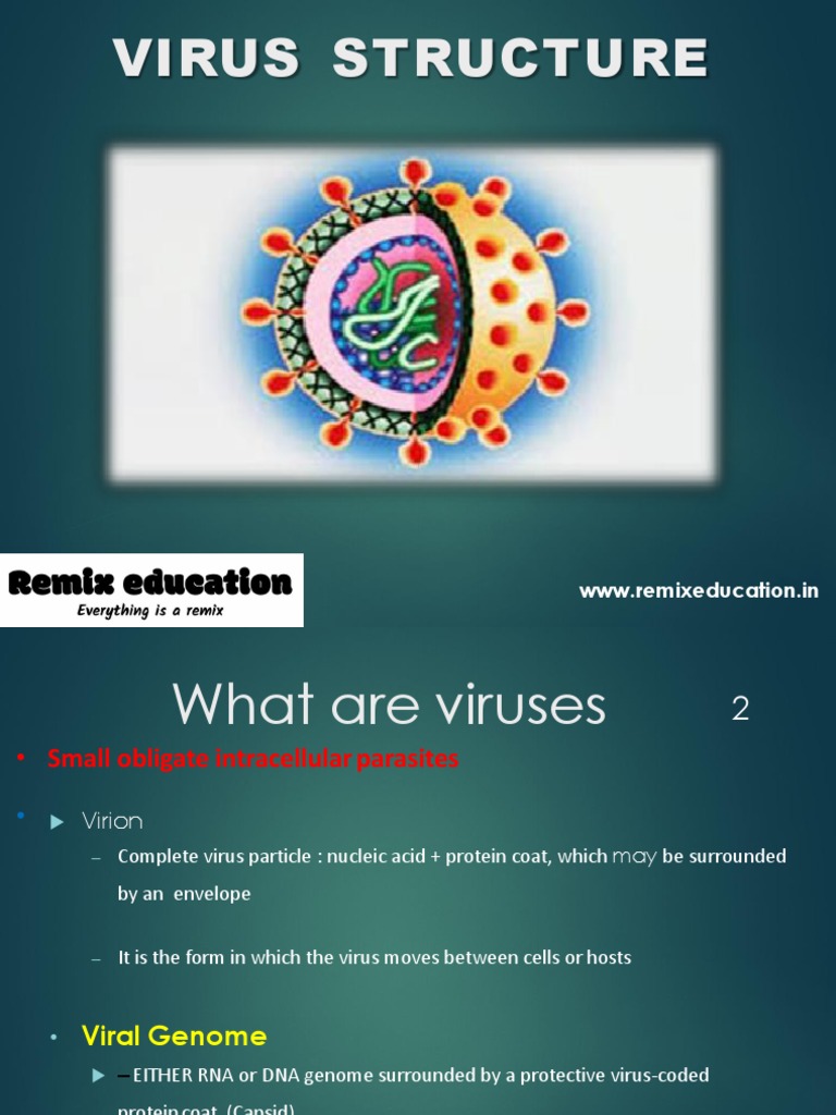 Virus Structure: WWW - Remixeducation.in | PDF | Sense (Molecular