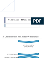 Cell Division - Mitosis and The Cell Cycle