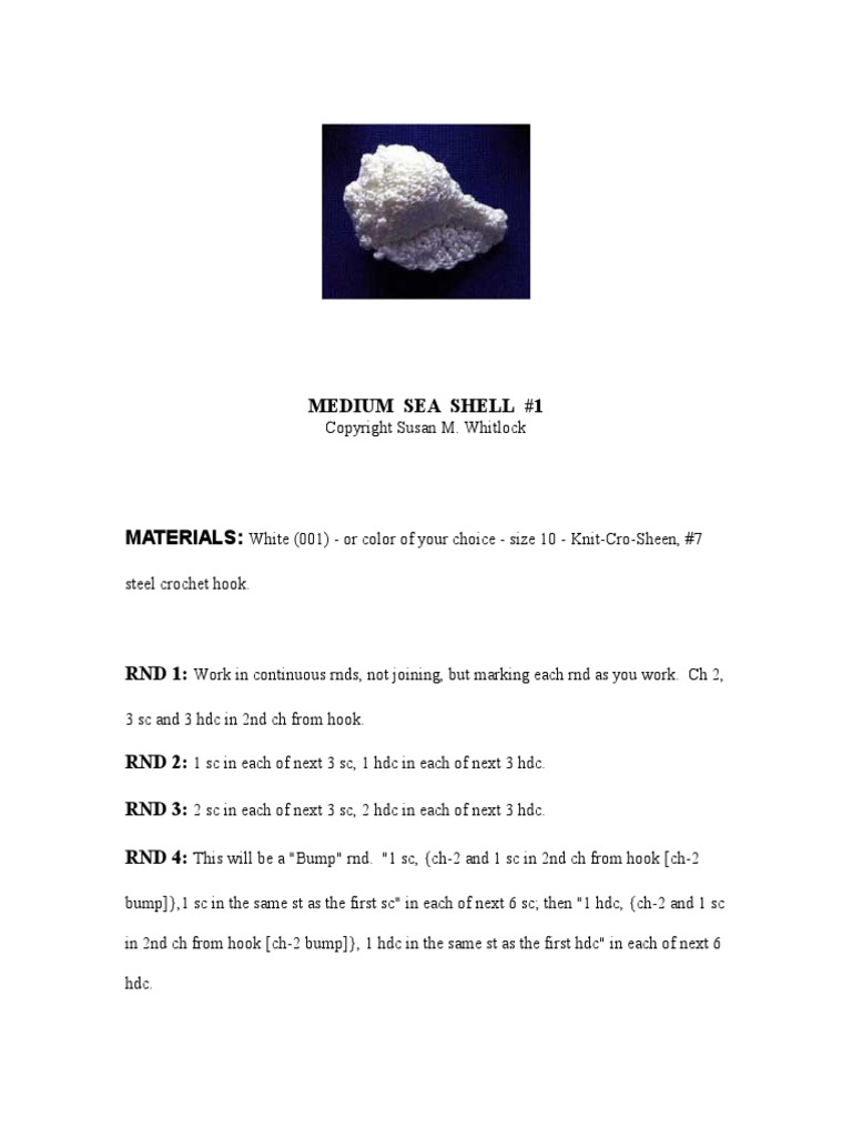 1 Medium Seashell1 | PDF