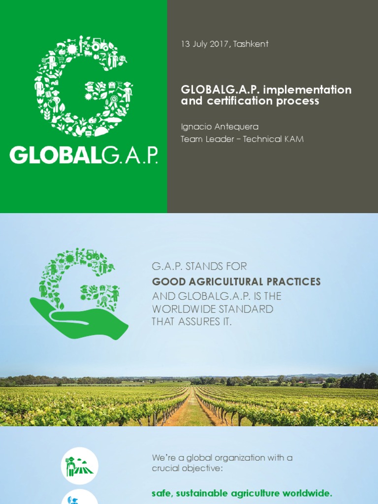 GG Implementation | PDF | Farmer | Vegetables