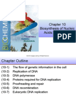 Biosynthesis of Nucleic Acids: Replication: © 2018 Cengage Learning. All Rights Reserved