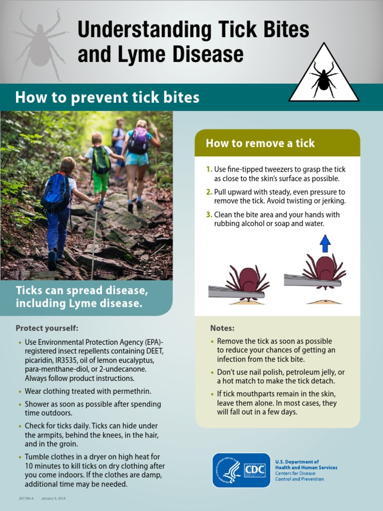 Tick Bite Prevention and Lyme Disease Guide | PDF | Lyme Disease ...