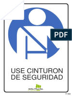 Use Cinturon de Seguridad