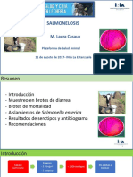 SALMONELLOSIS TERNEROS