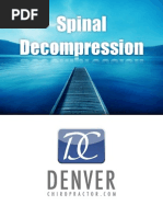 Download Spinal Decompression  by evocare SN49803453 doc pdf