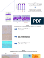 descrip panx y cuantificacion