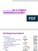 OK - 3 Mikrobiologie-Struktura A Fce Buňky 2012