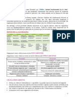 Introducción a las células: estructura y función