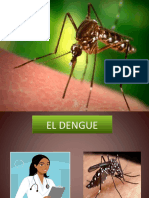 DENGUE