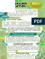 Infografia Del Derecho Ambiental y 3 Principios