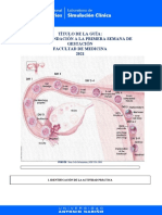 Guia 2. de La Fecundacion A La Primera Semana