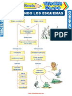 Tipos de Esquemas para Tercer Grado de Primaria