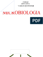 Microbiologia PDF