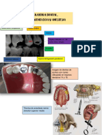 Operatoria Dnetal, Imagenologia y Anestesia